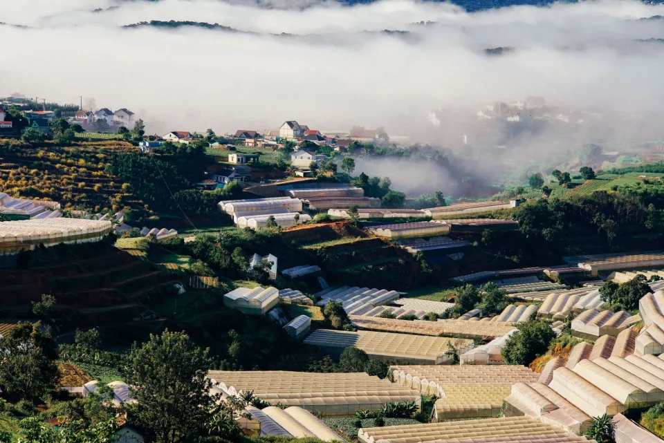 Kho bảo quản lạnh